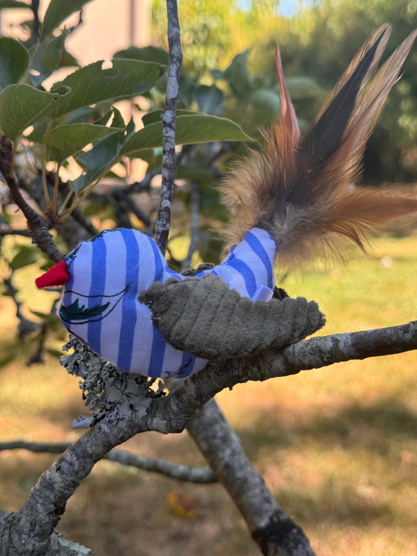 Petit oiseau sensoriel – Jouet pour chat