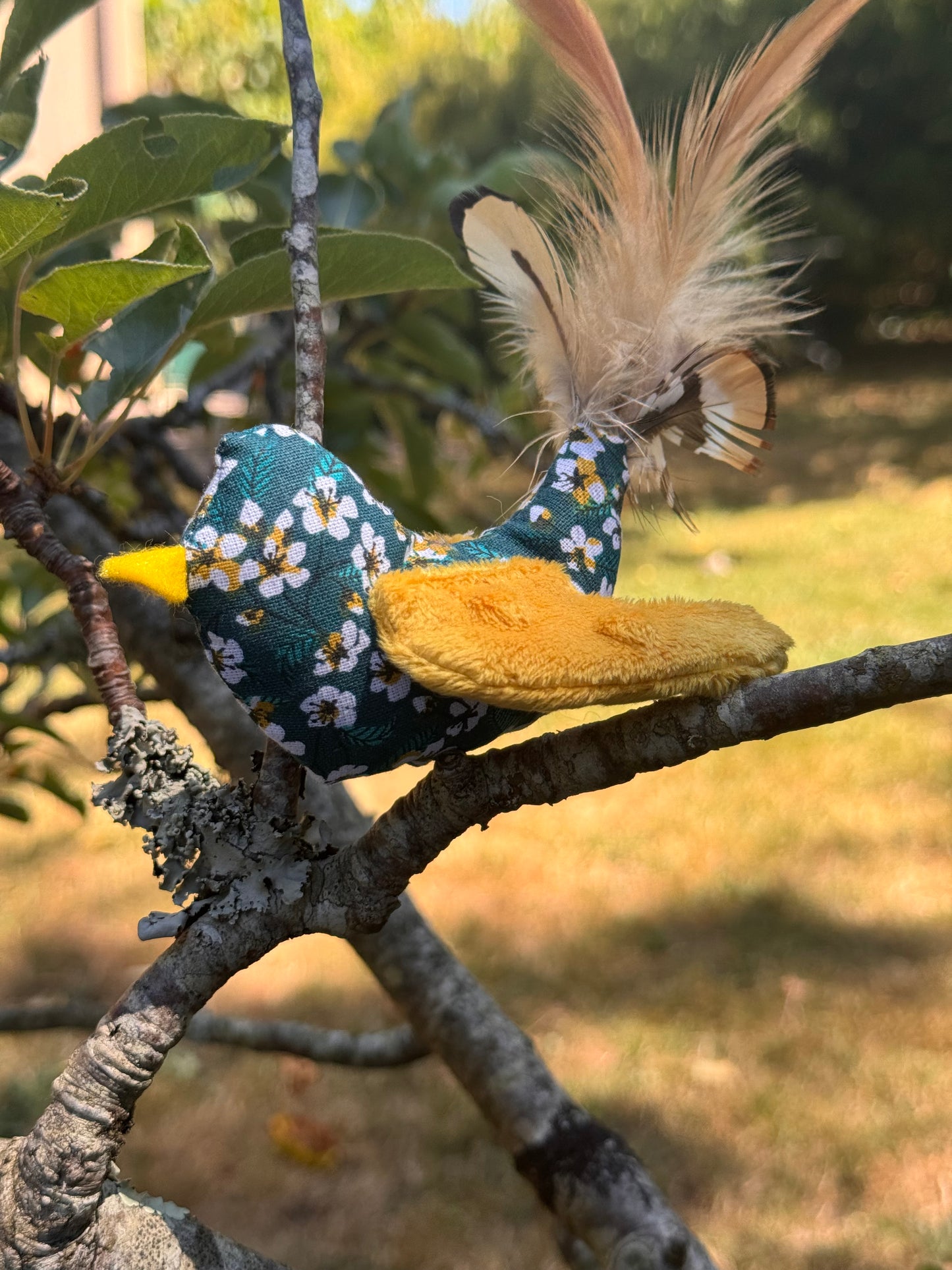 Petit oiseau sensoriel – Jouet pour chat