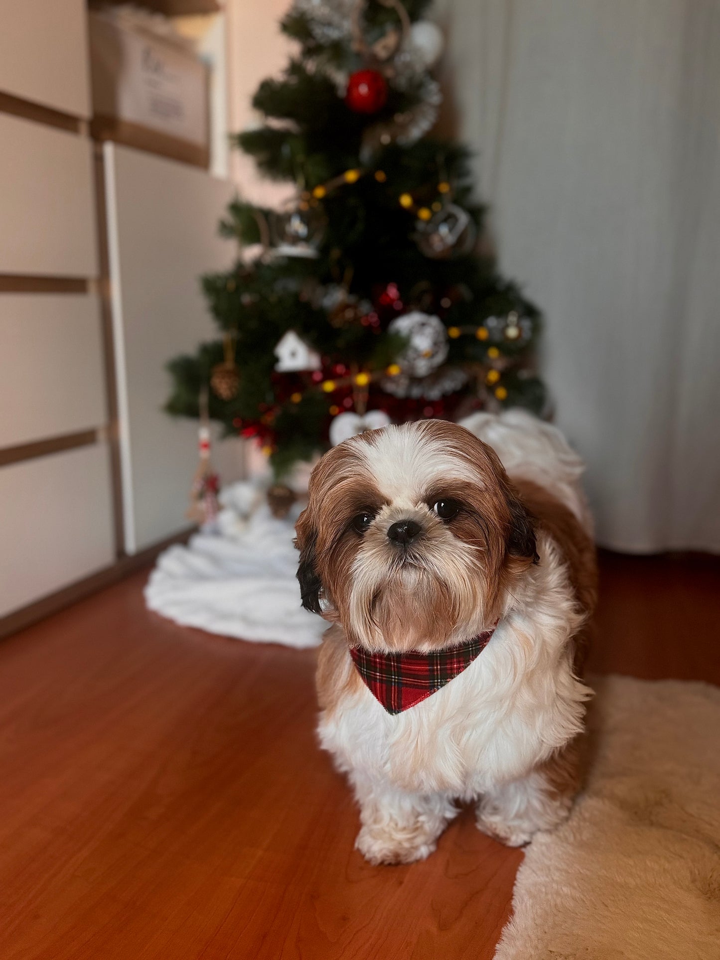 Bandana Noël