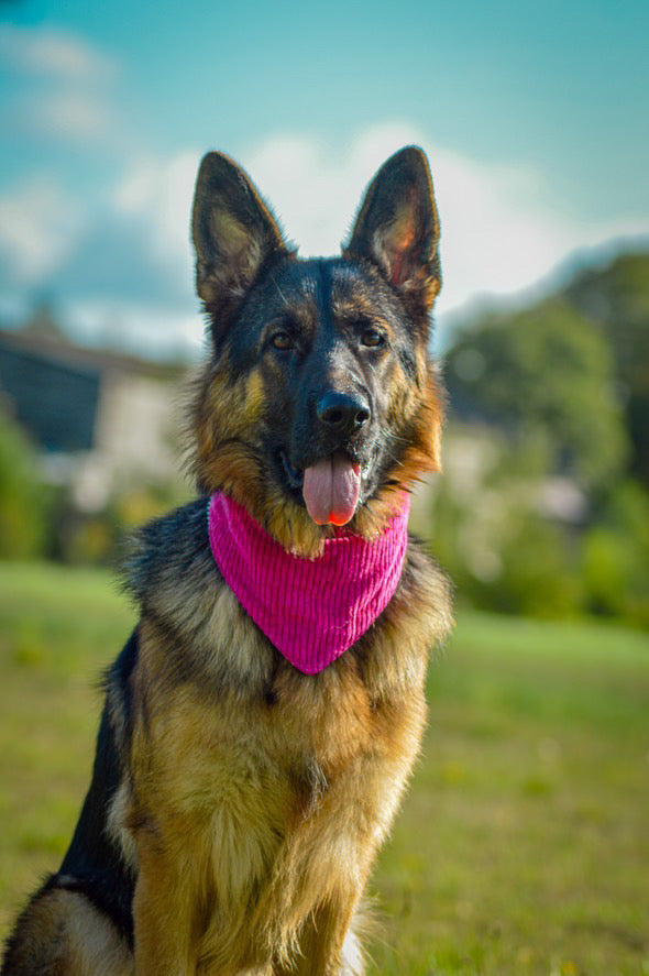 Bandana Collection Popeline