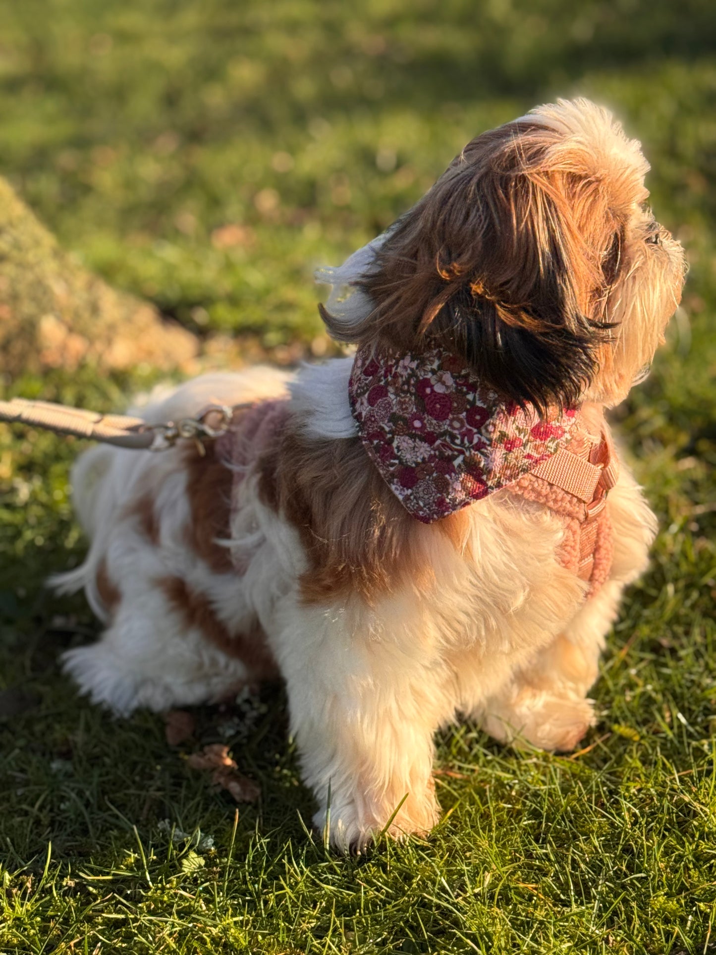 Bandana Poésie Florale