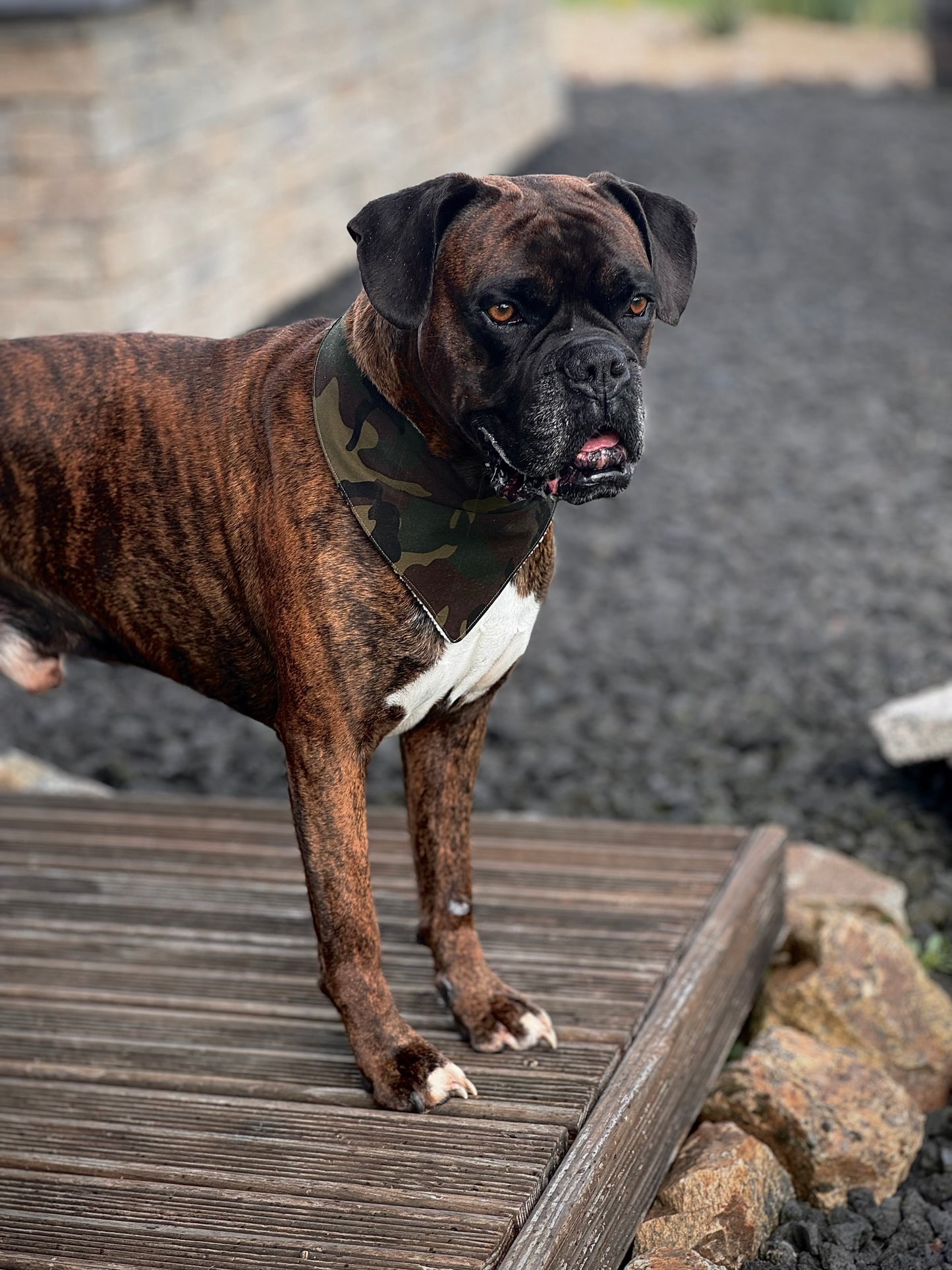 Bandana camouflage
