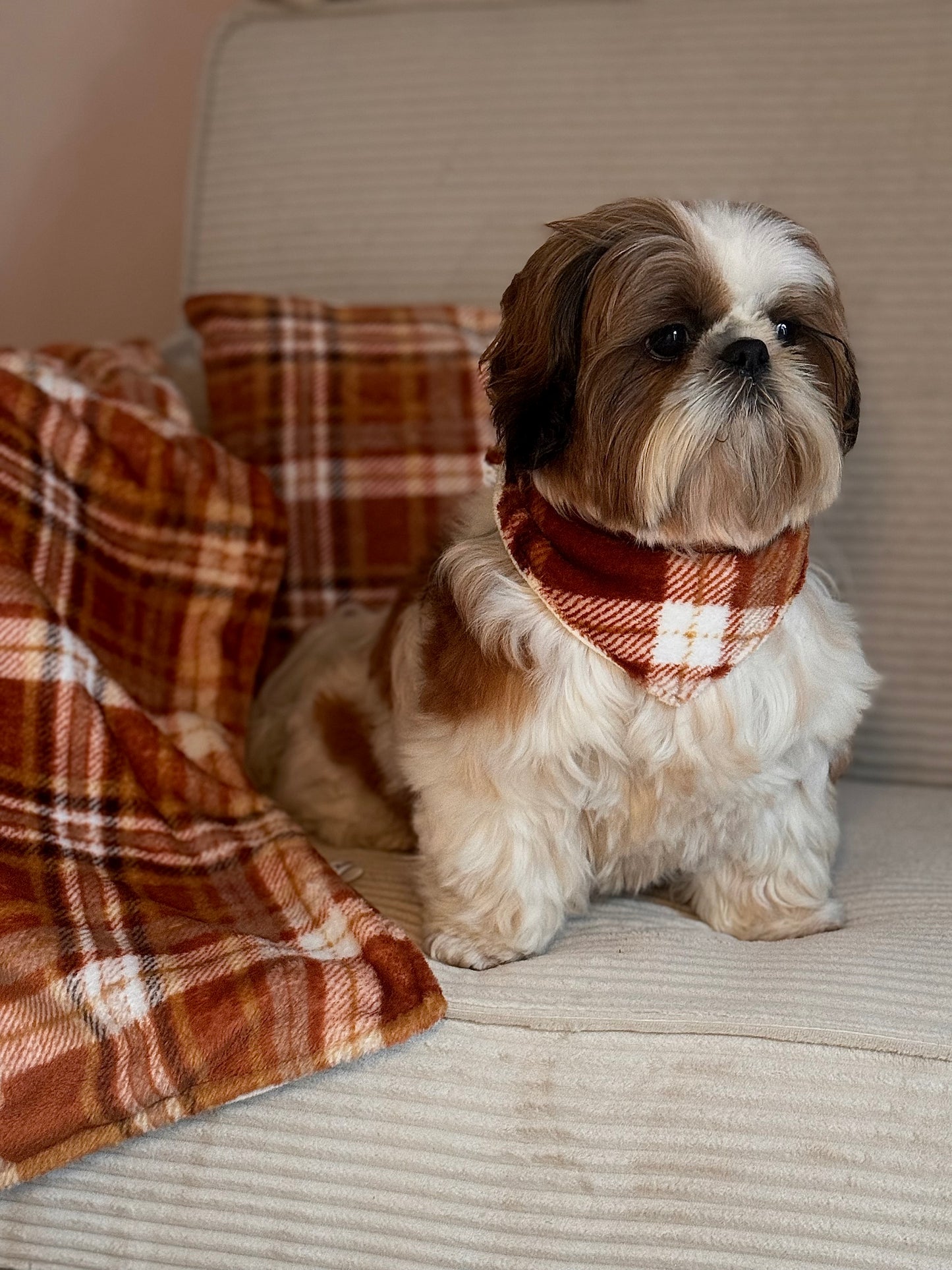 Bandana Collection Chaleur Rustique