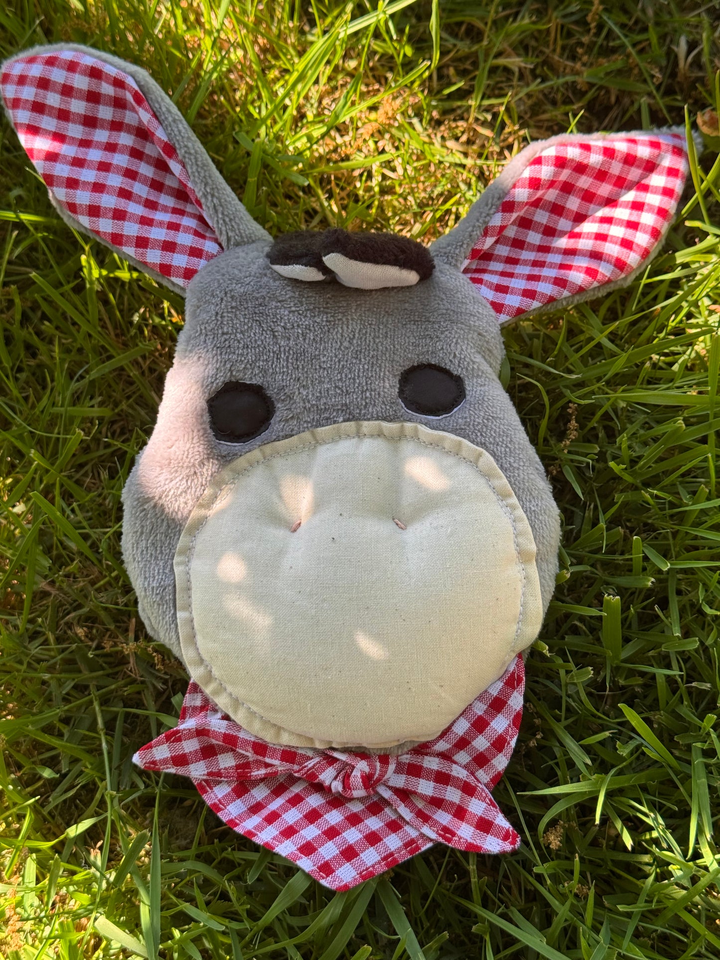 Doudou Ane