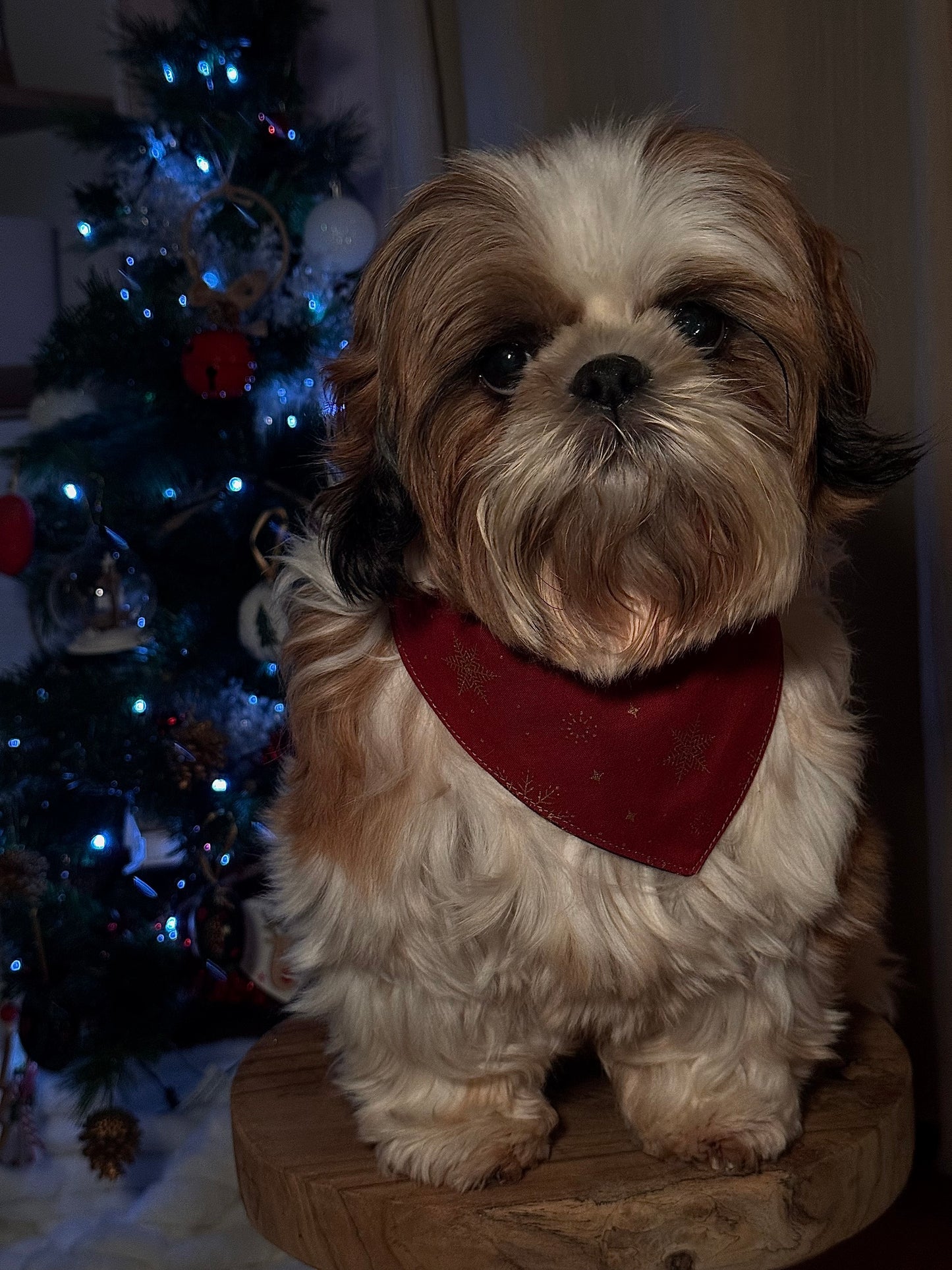 Bandana de Noël flocon étoilé