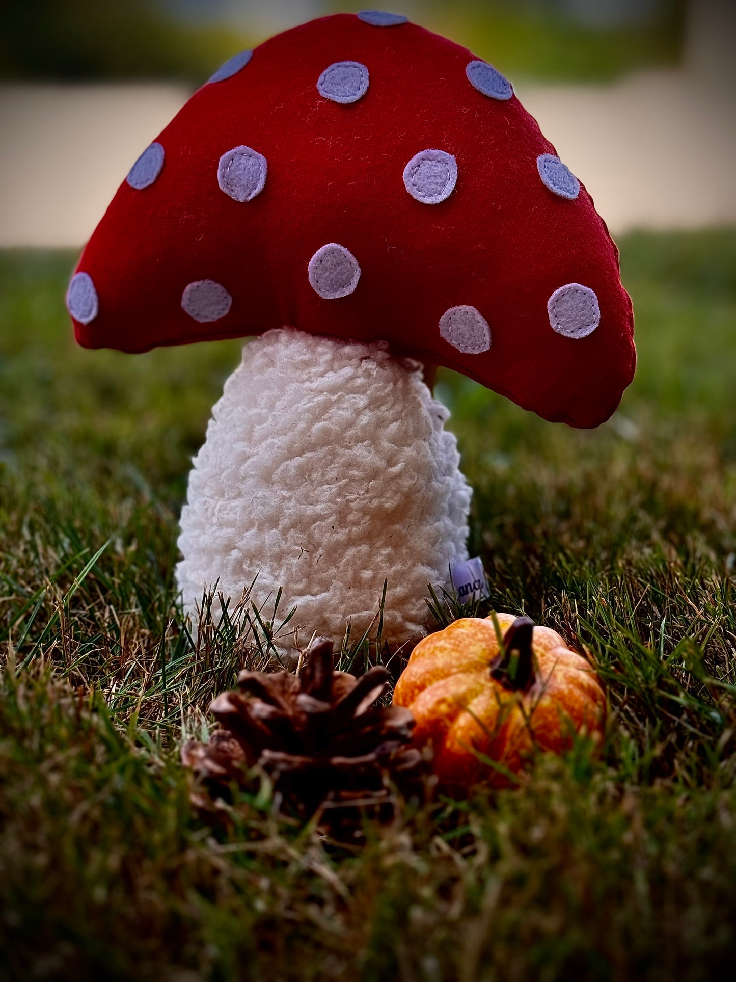 Champignon