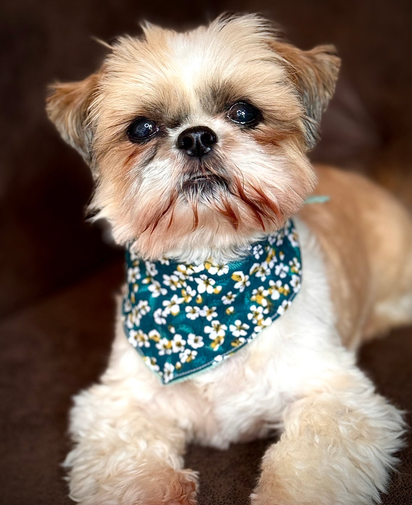 Bandana Collection Fleurine