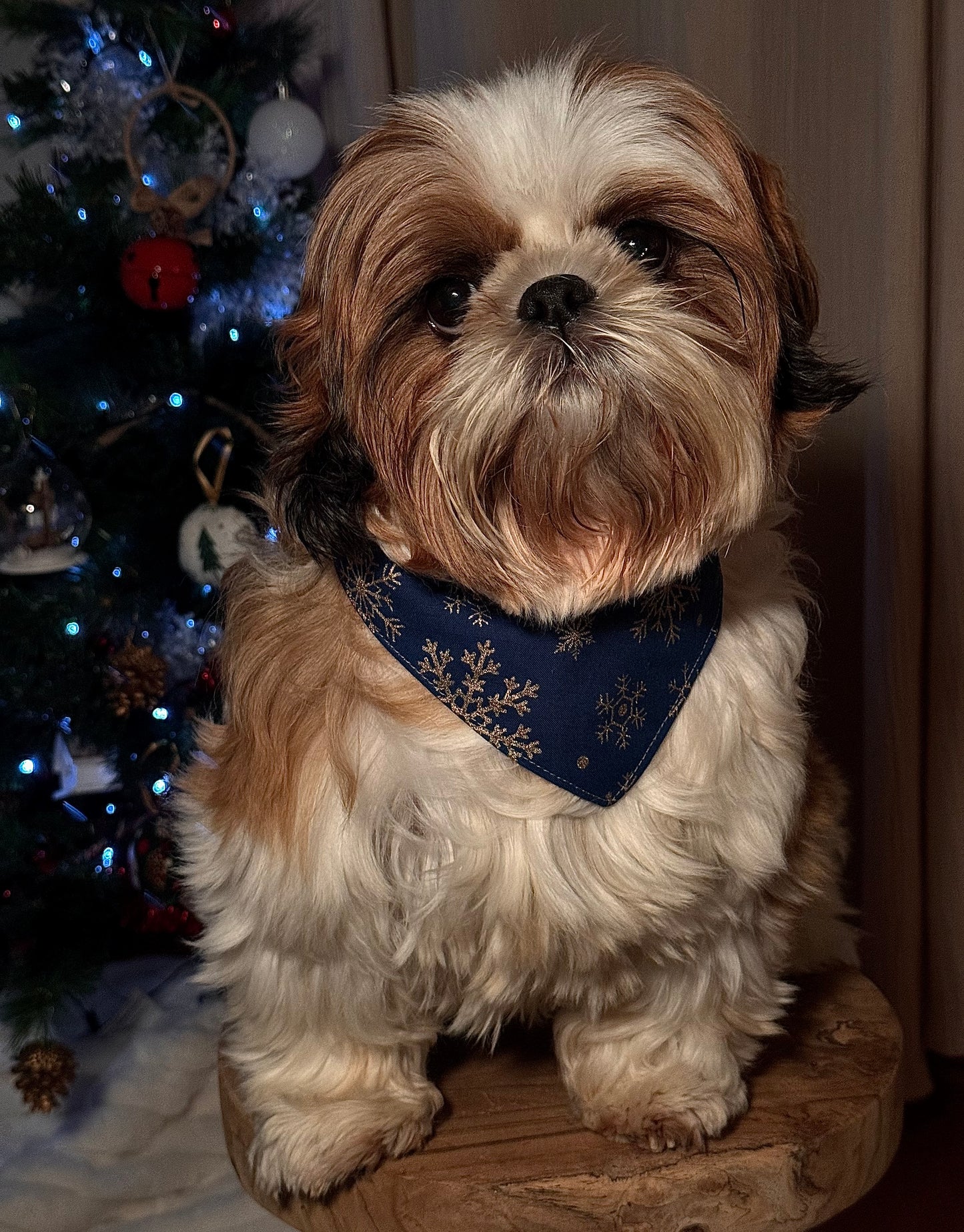 Bandana de Noël flocon étoilé