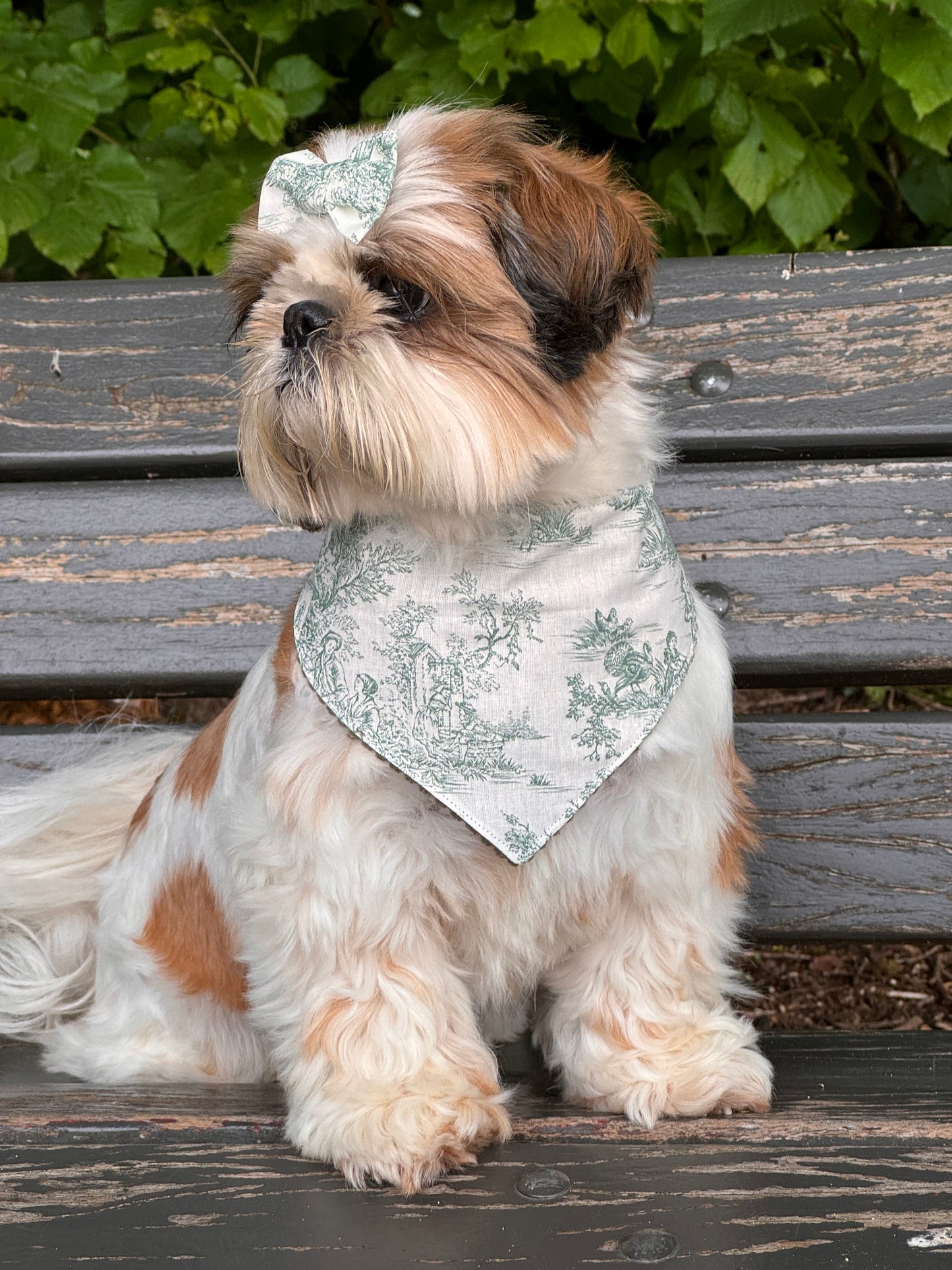 Bandana Collection La belle époque