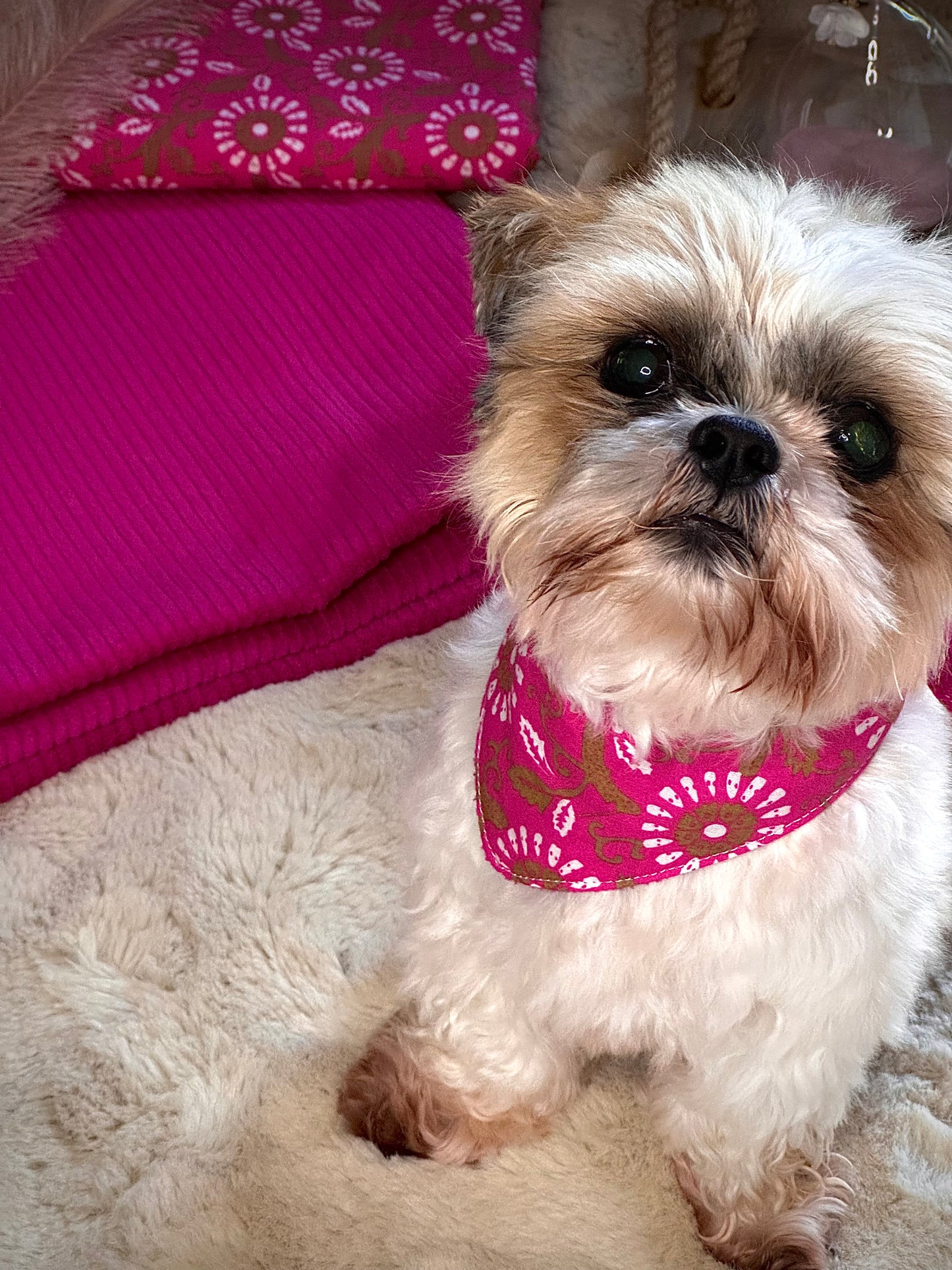 Bandana Collection Popeline