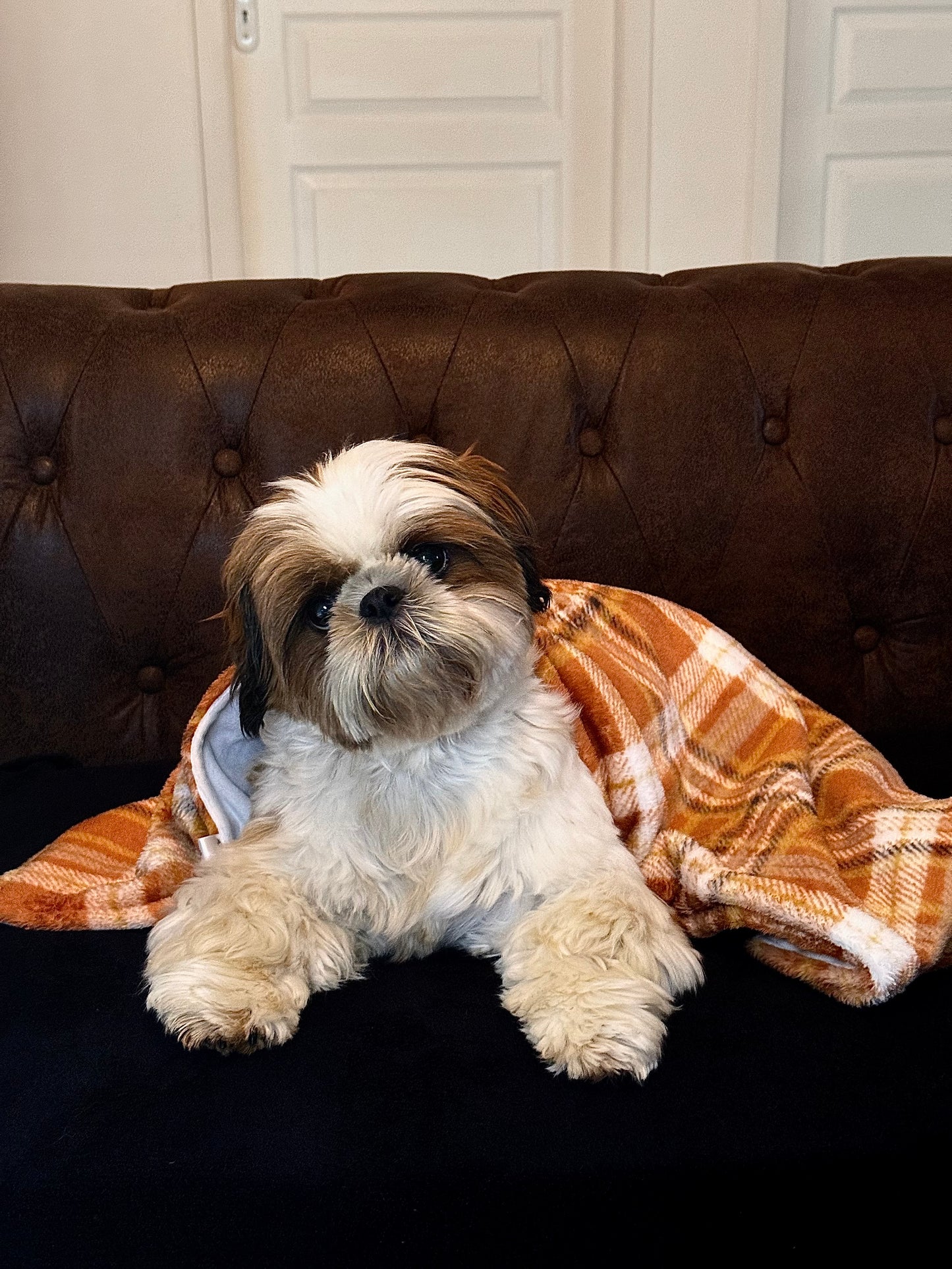 Plaid Collection Chaleur Rustique