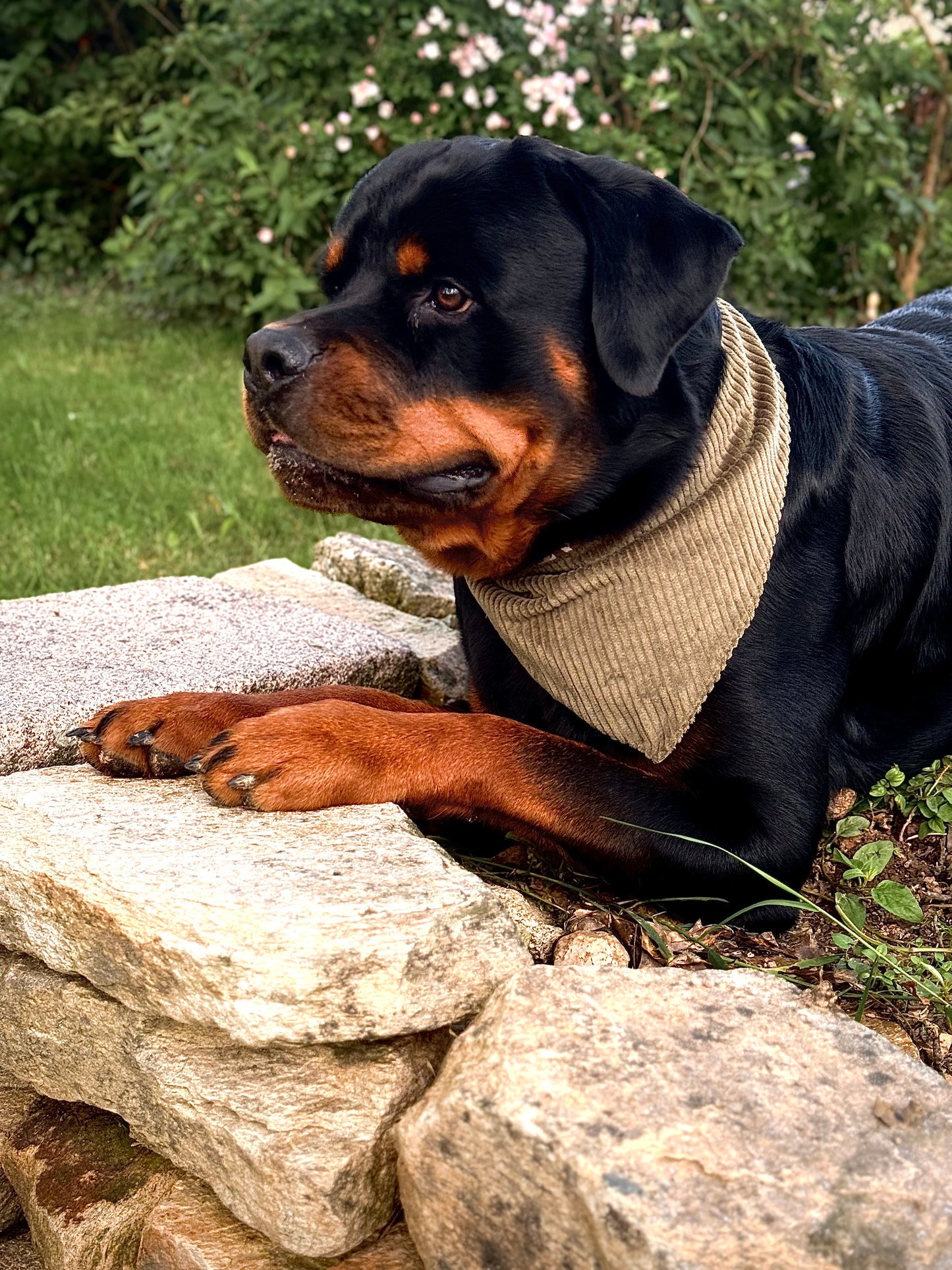 Bandana camouflage