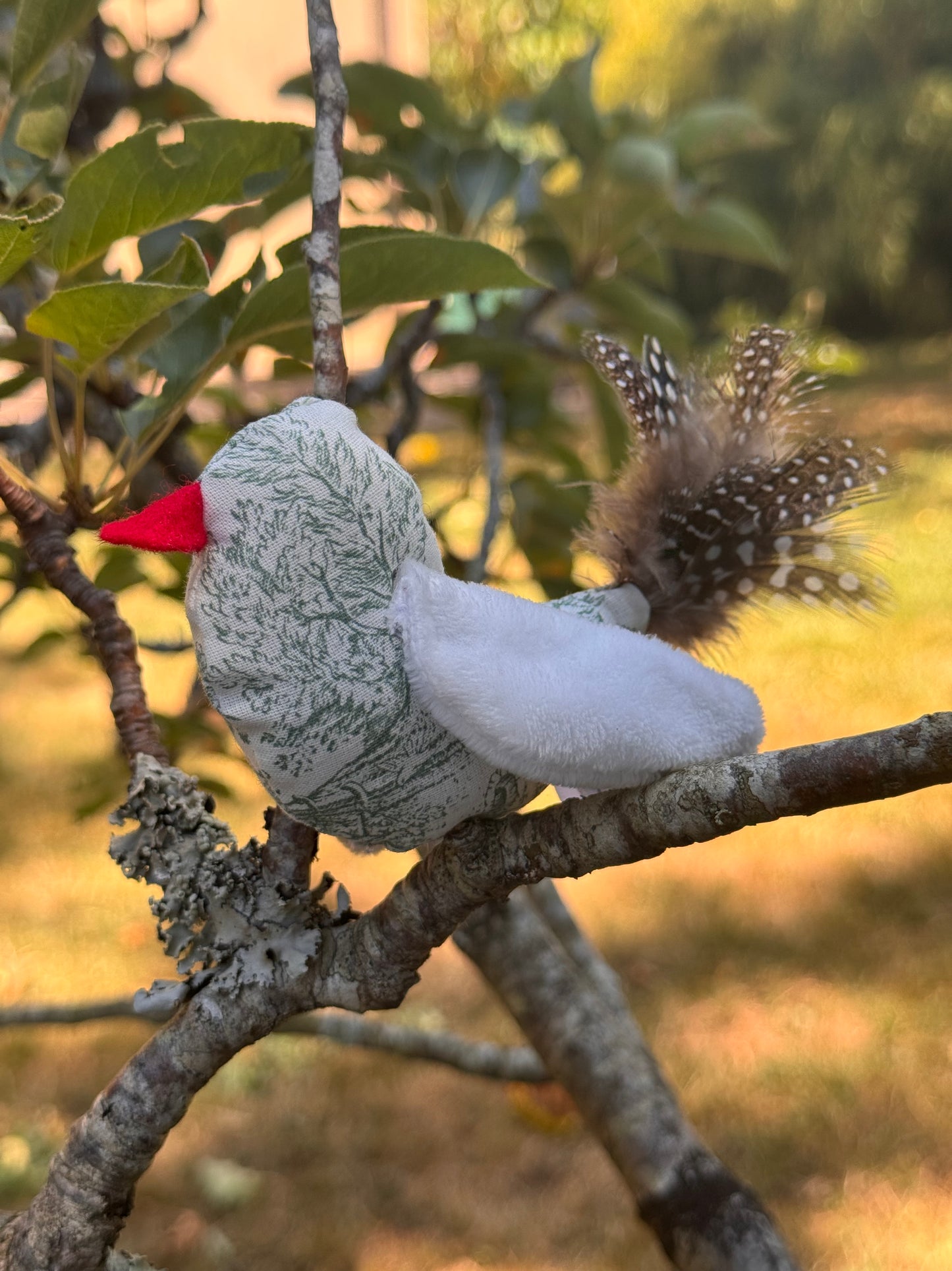 Petit oiseau sensoriel – Jouet pour chat