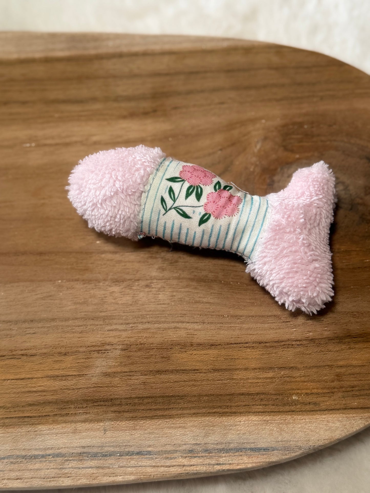 Poisson pour chat