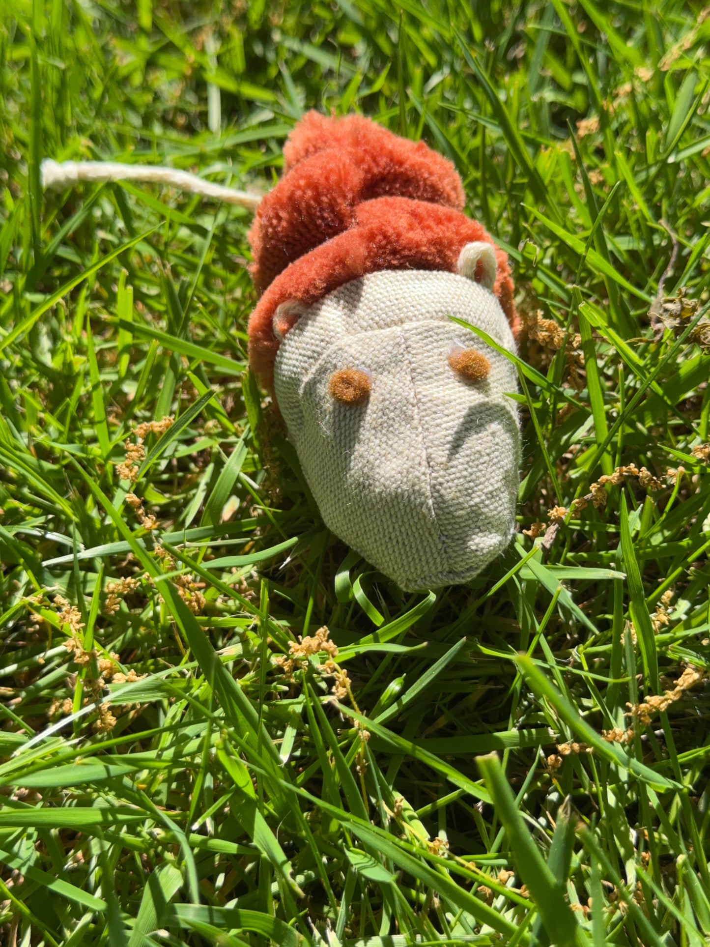La petite souris – le jouet doux et discret pour votre félin