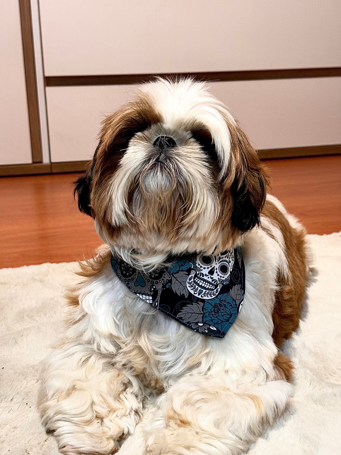 Bandana calavera