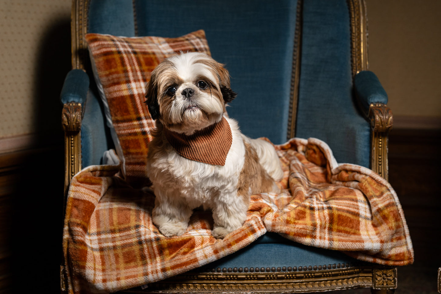 Plaid Collection Chaleur Rustique