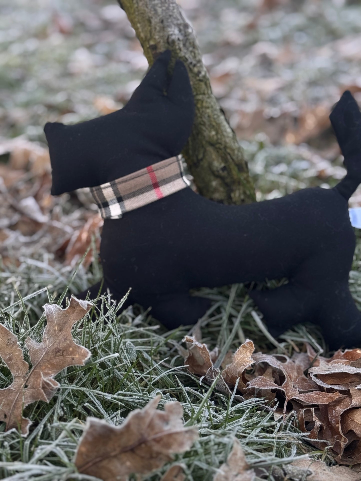 Chien collection canin chic