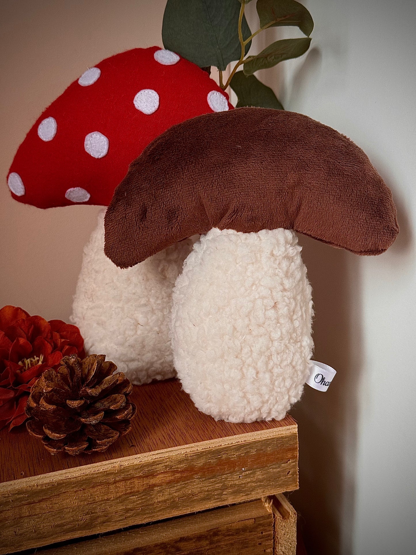 Champignon