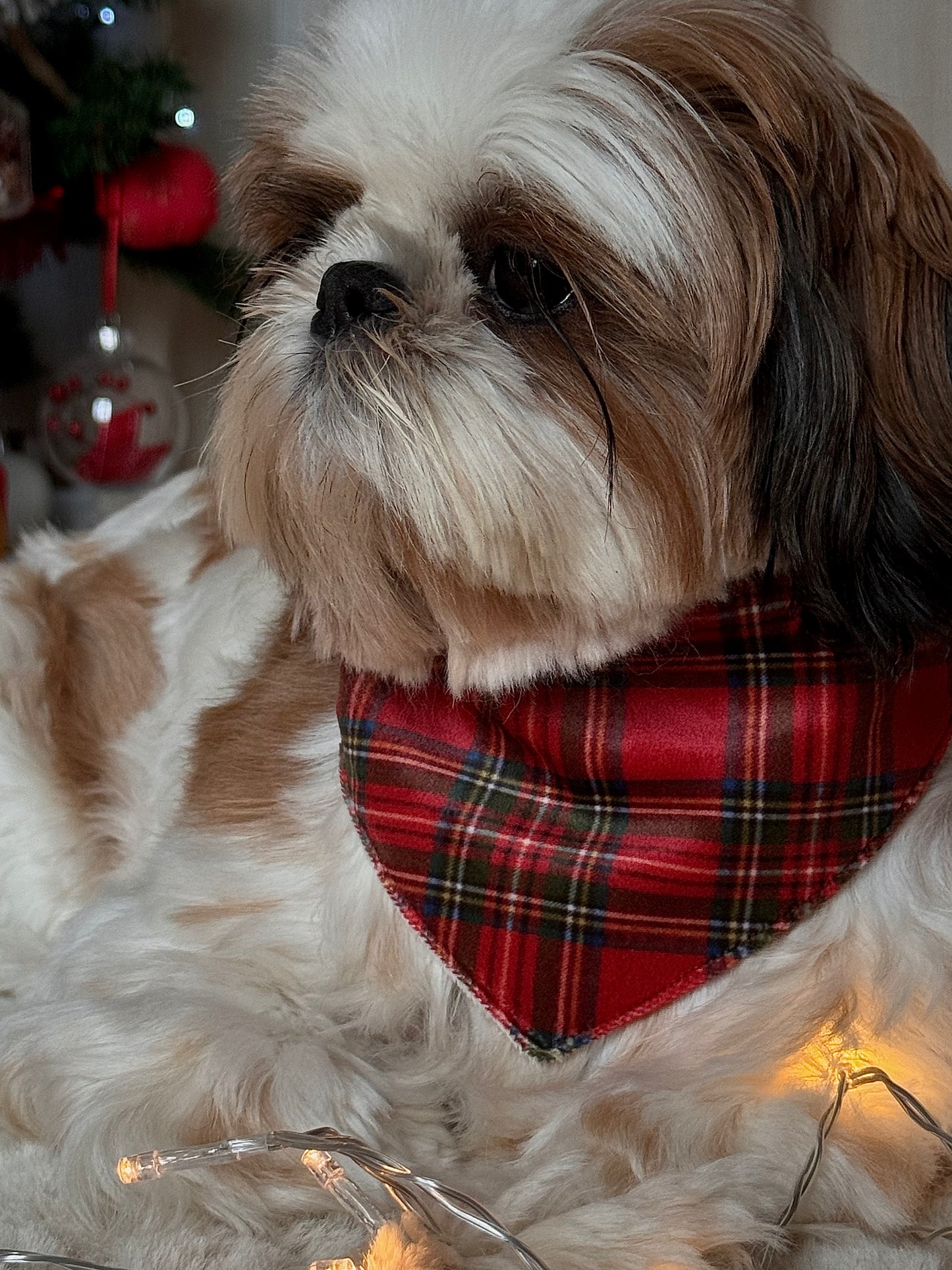 Bandana Noël