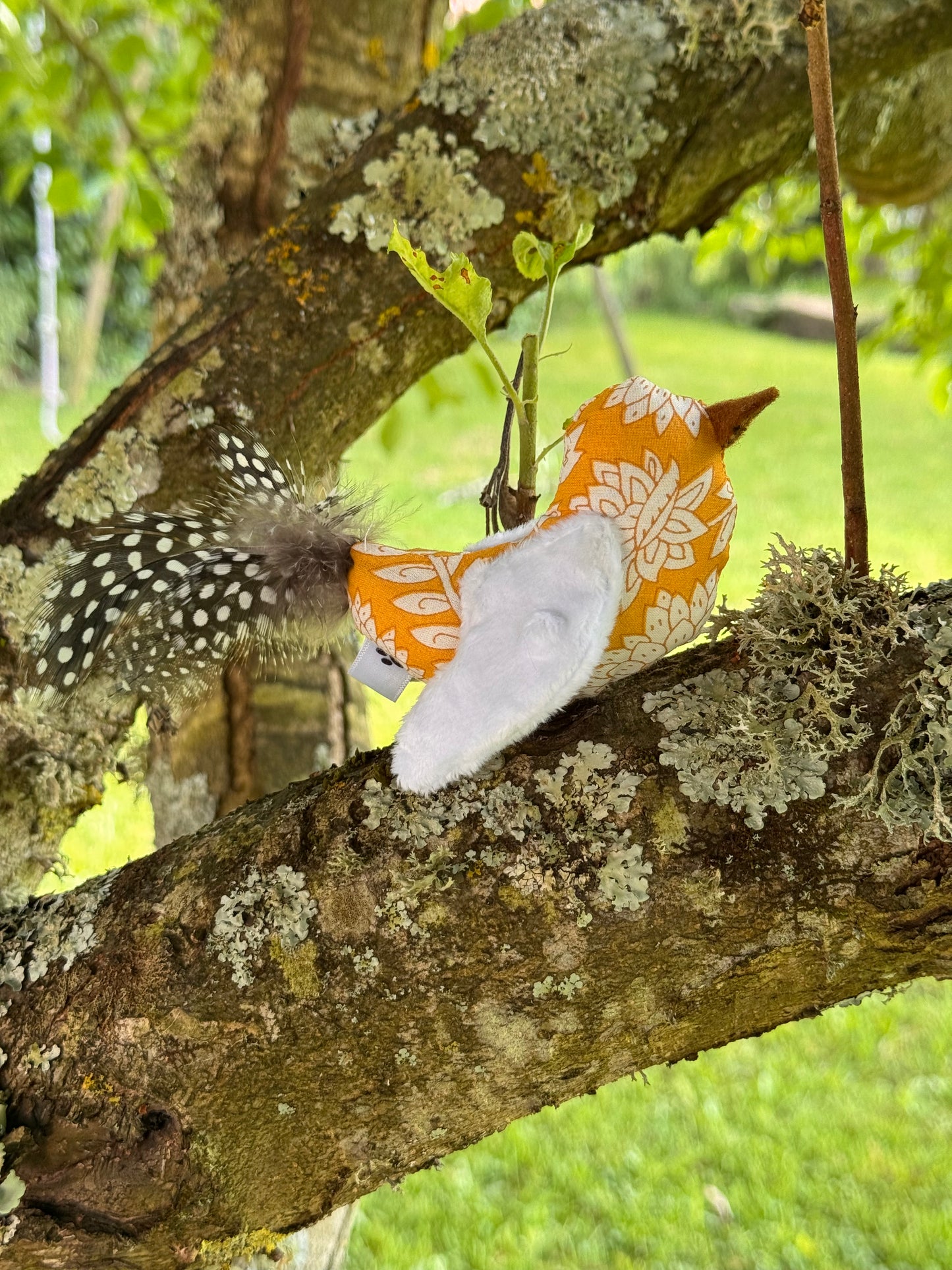 Petit oiseau sensoriel – Jouet pour chat