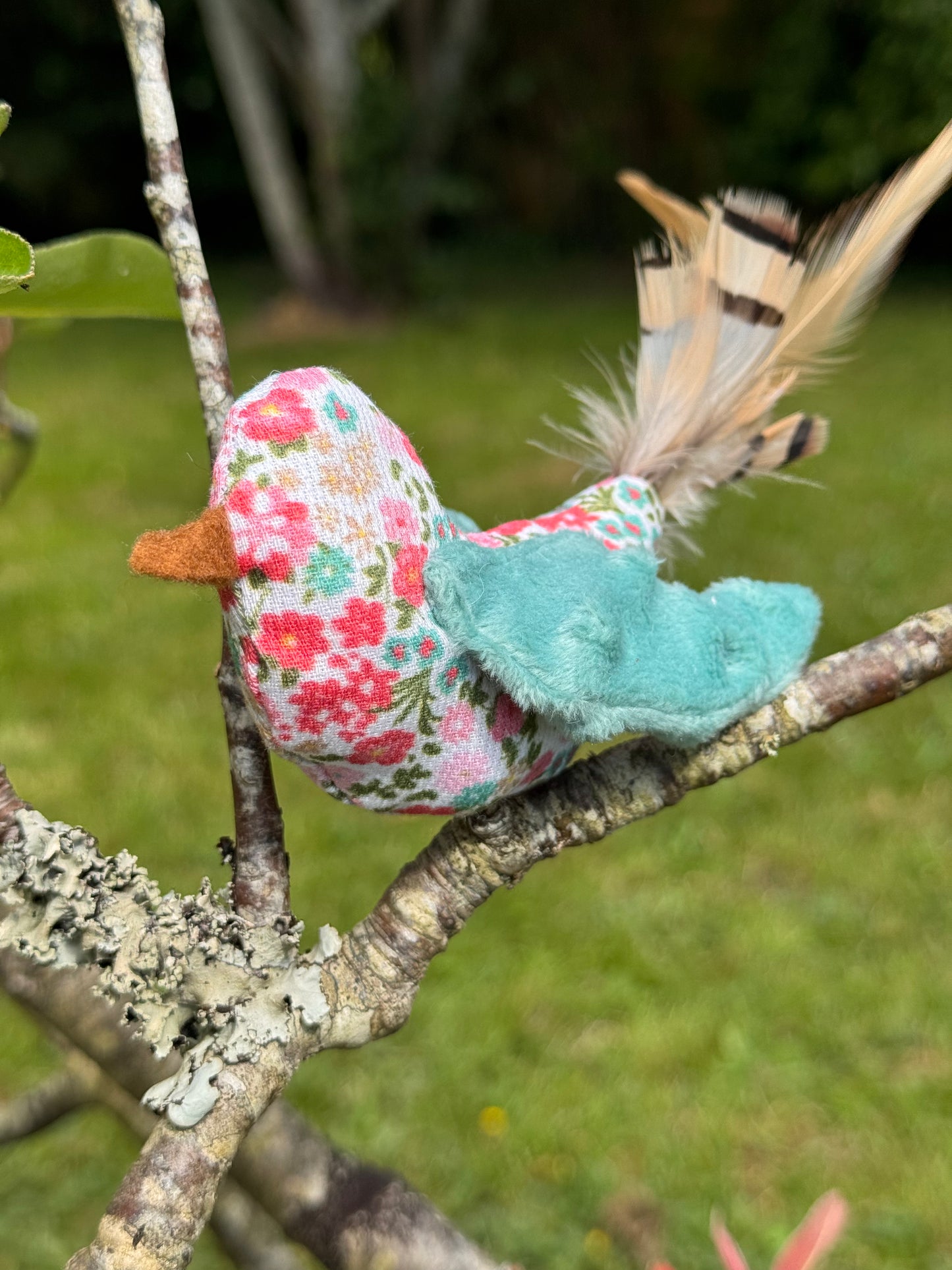 Petit oiseau sensoriel – Jouet pour chat