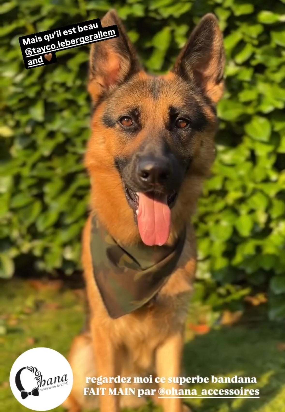 Bandana camouflage