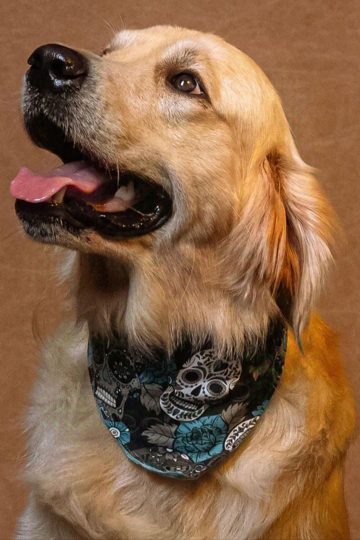 Bandana calavera