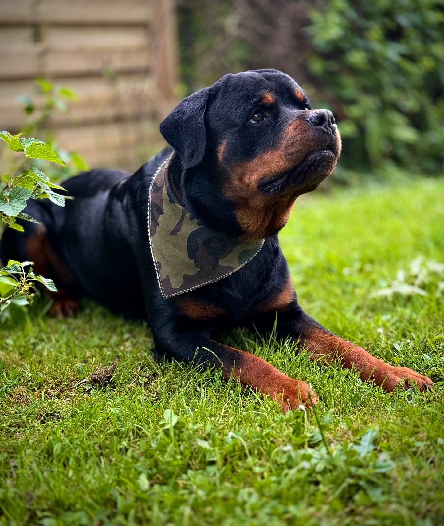 Bandana camouflage