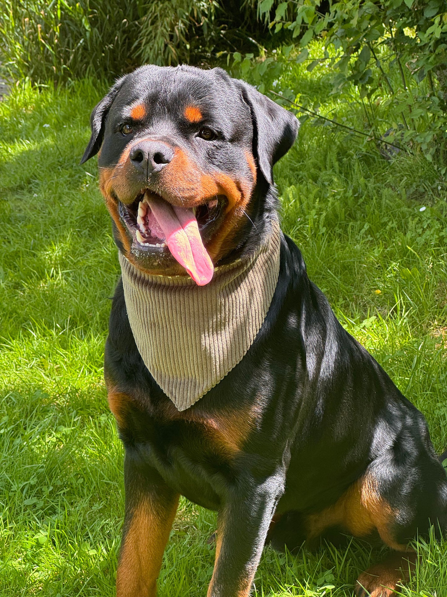 Bandana avec écusson