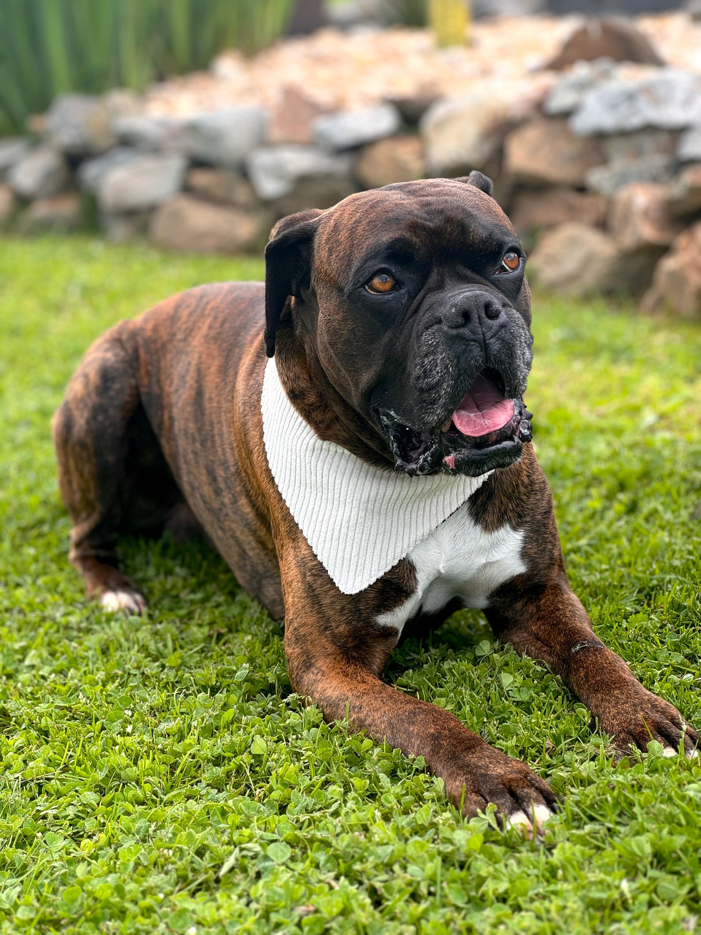 Bandana camouflage