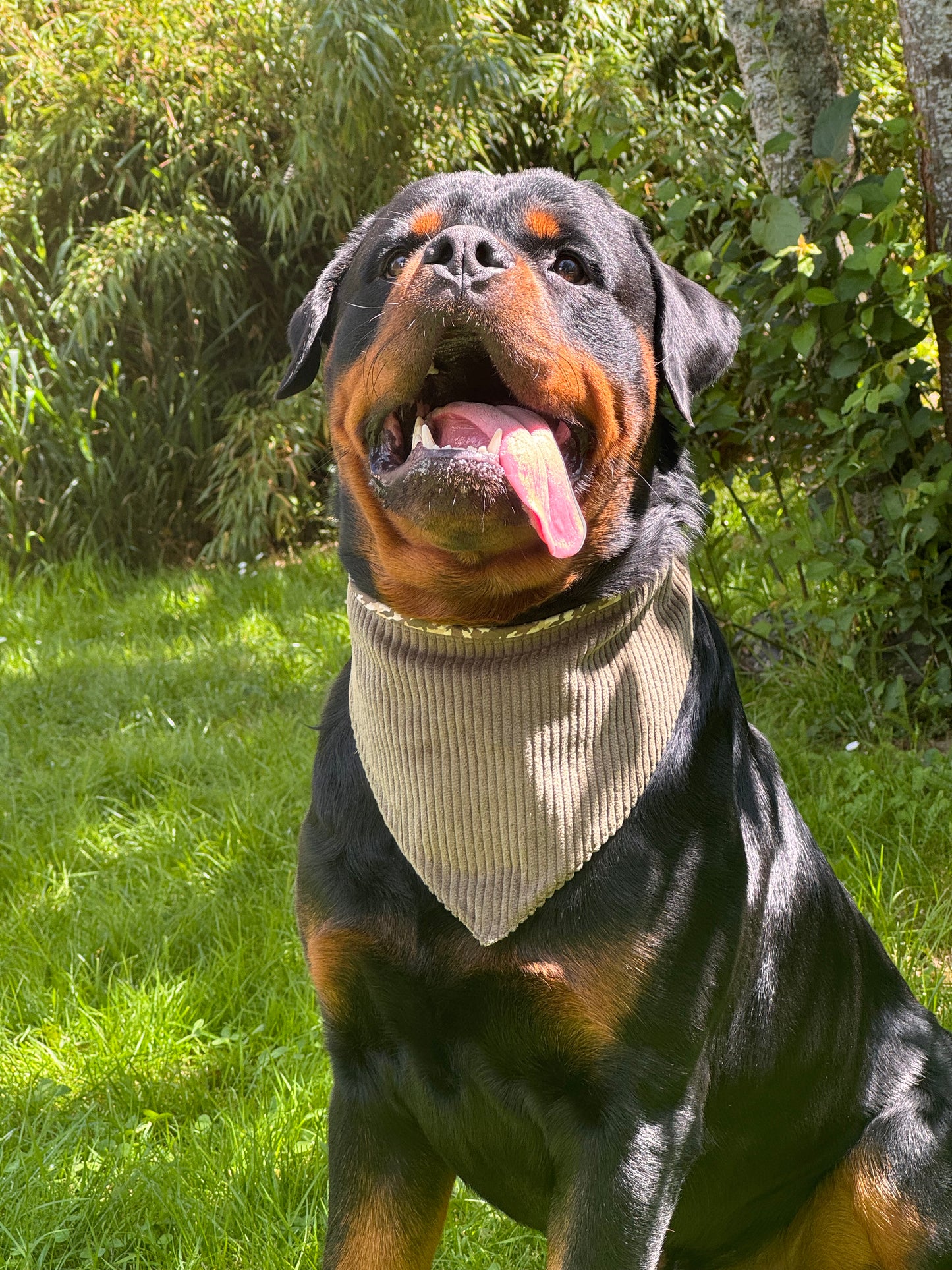 Bandana avec écusson