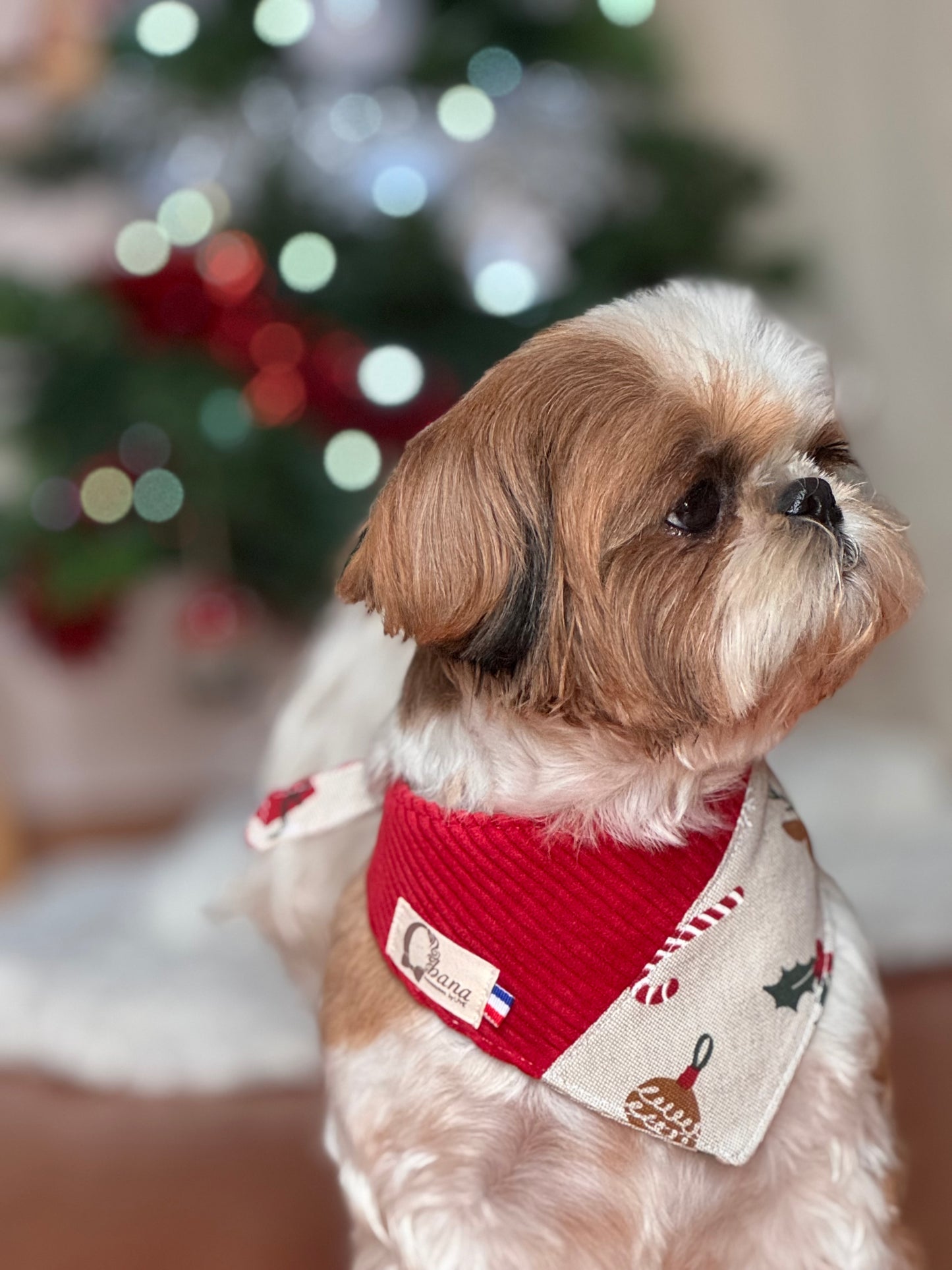 Bandana Noël