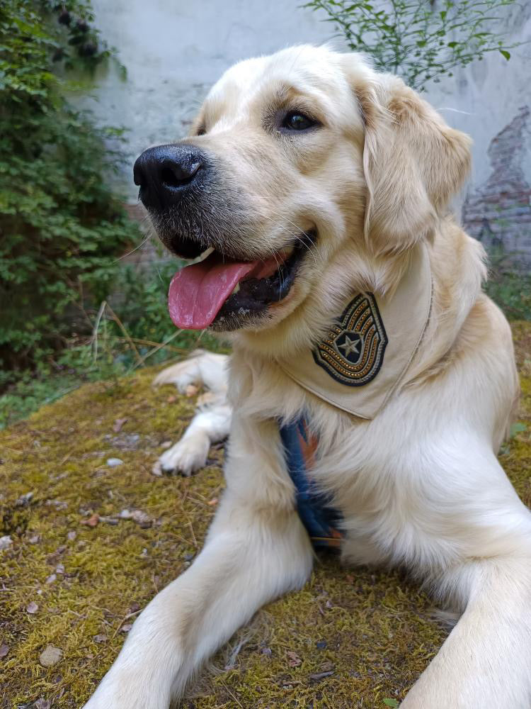 Bandana avec écusson